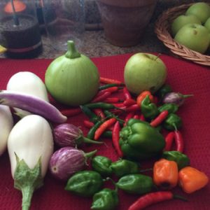 eggplants-and-more